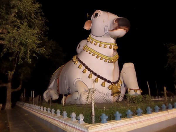 എല്ലായ്പ്പോഴും അഞ്ചടി