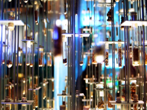 തമിഴ്നാട് സയൻസ് ആൻഡ് ടെക്നോളജി സെന്റർ