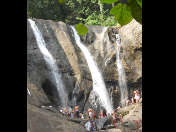 ടിക്കറ്റ്