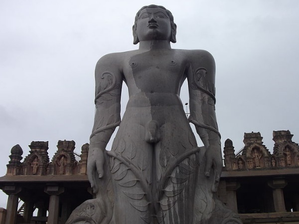 പടർന്ന് കയറിയ ചെടികൾ