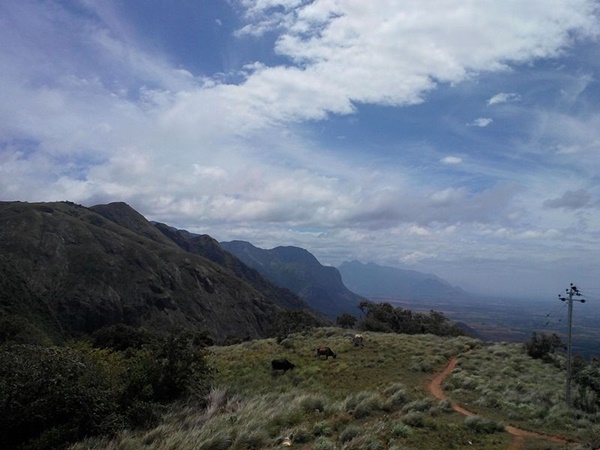 വിശാലമായ പുൽമേടുകളും തമിഴ്നാട് കാഴ്ചകളും