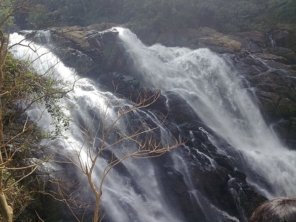 പ്രവേശന ഫീസും മറ്റു നിരക്കുകളും 