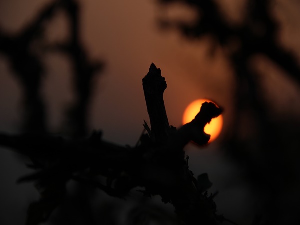 കിഷൻഗഡ്