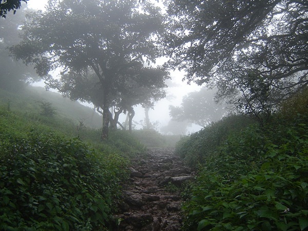 കുടജാദ്രി