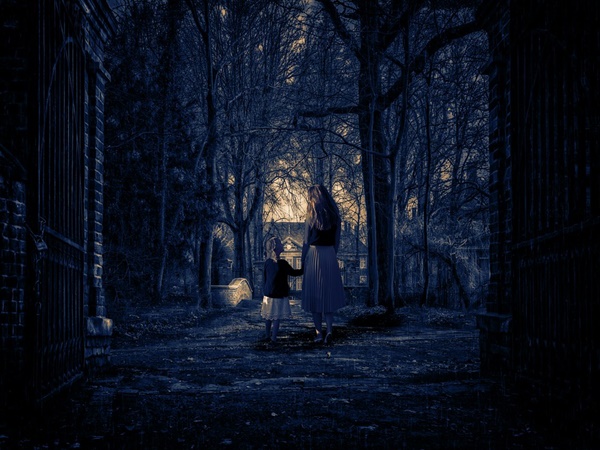 ഇംഗ്ലീഷ് സംസാരിച്ച നിരക്ഷര