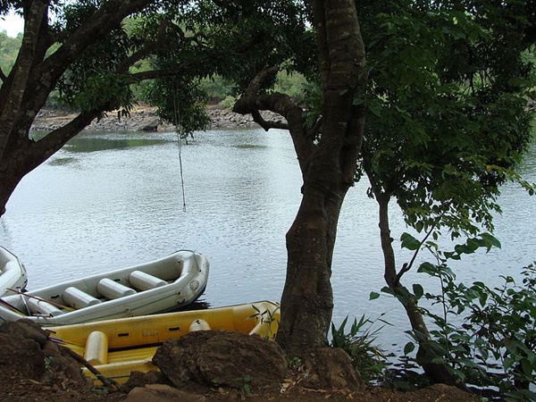 ഡണ്ടേലി