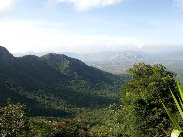 ഷെവറോയ് ഹിൽസ് തമിഴ്നാട്