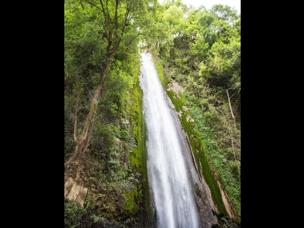 ടൈഗർ ഫാൾസ്