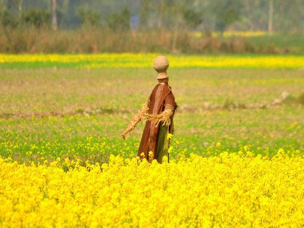 ഹാഹിം പിക്നിക് സ്പോട്ട്