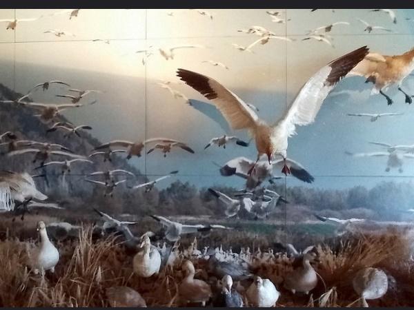 കറുത്തവാവ് ദിവസങ്ങൾ 