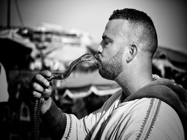 പാമ്പു കടിച്ചാൽ