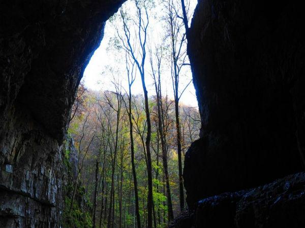 വെറുതേയിരിക്കേണ്ട...