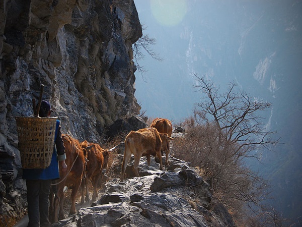 മഴക്കാലത്ത് ശ്രദ്ധിക്കാം