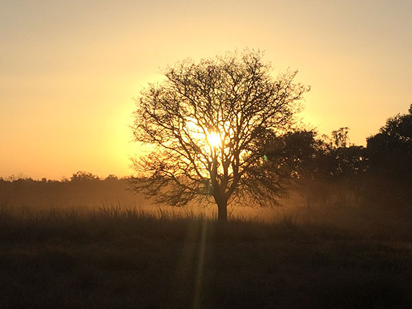 ഖാനാ ദേശീയോദ്യാനം, മധ്യ പ്രദേശ്