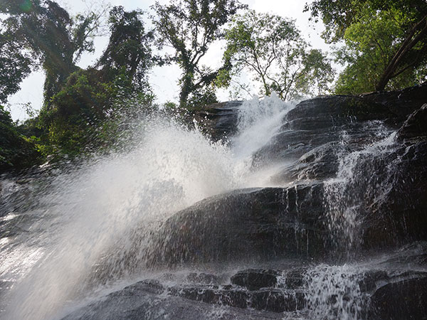 പാലി വാട്ടർഫാൾ ട്രക്ക്, ഗോവ