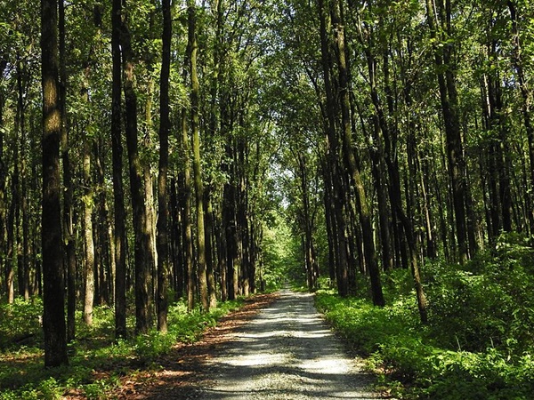ദേശീയോദ്യാനത്തിനുള്ളിലെ ഗോത്രവര്‍ഗ്ഗക്കാർ 