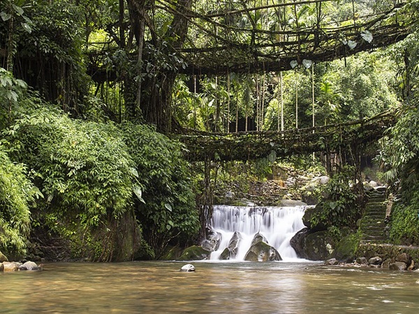 റിറ്റിമ്മെന്‍ റൂട്ട് ബ്രിഡ്ജ്(Rtiymmen Root Bridge) 