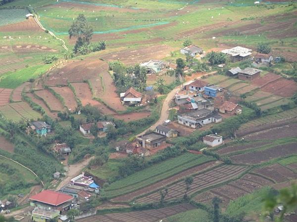 പാണ്ടിക്കുഴി