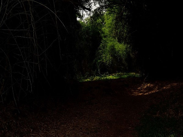 അഞ്ചാമനായി തേക്കടി 