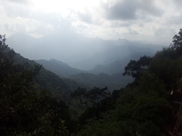 കാടുമൂടിയ മുല്ലപ്പൂക്കളുടെ നാട്