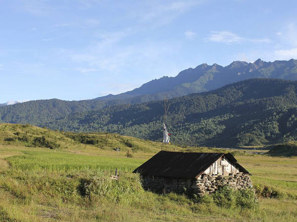 മെച്ചുക