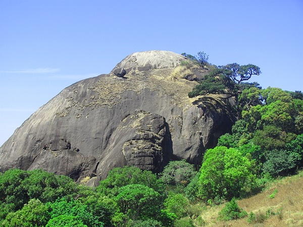 പക്ഷി പാതാളത്തിലേക്ക് ട്രക്കിങ്ങ്