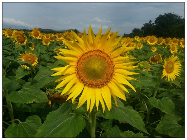 നേരം പുലരുന്നതിനും മുൻപേ...!