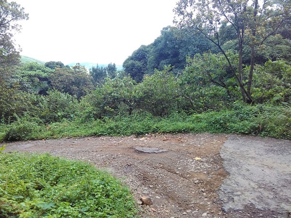 ഓഫ് റോഡ്