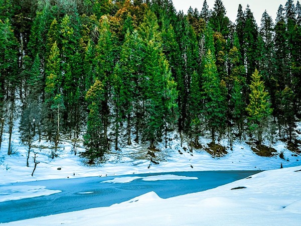 രണ്ടാം ദിവസം