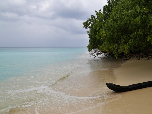 പ്ലാൻ ചെയ്യാം വളരെ നേരത്തെ
