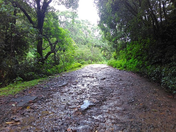 കാട്ടിലൂടെ ആനവണ്ടിയ്ക്ക്