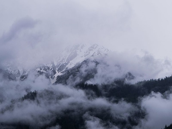 നടന്നു കാണാം