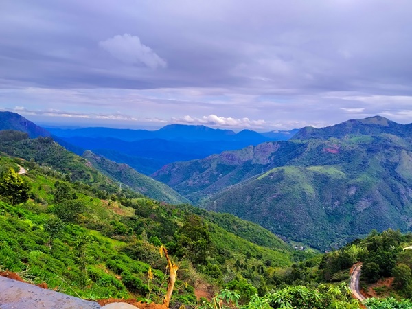 കൂടുതൽ ചിത്രങ്ങൾ കാണാം