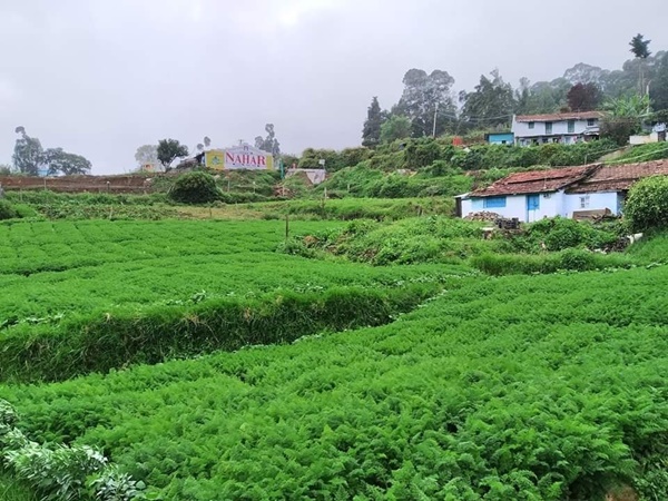 കൂടുതൽ ചിത്രങ്ങൾ കാണാം