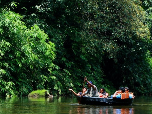 തുഴക്കാരൻ ഉൾപ്പെടെ ആറുപേർ