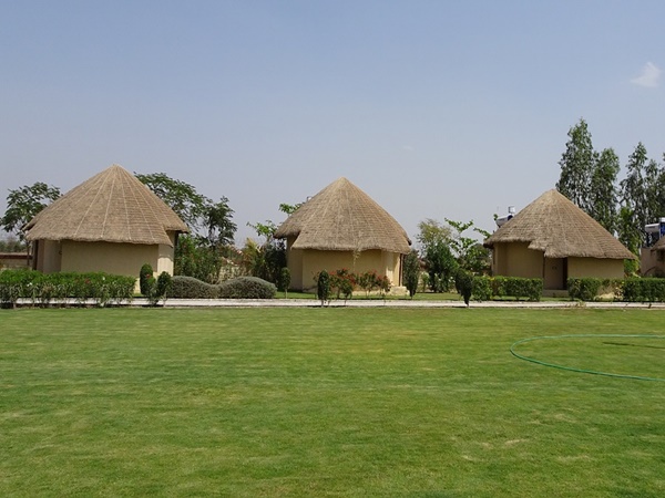 നിറ്റോയ്, നാഗാലാൻഡ്