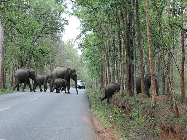 പാത അടച്ചാൽ 