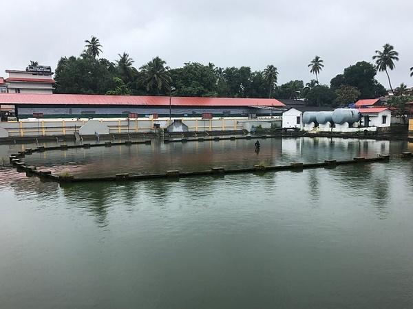 ഗുരുവായൂർ ക്ഷേത്രം