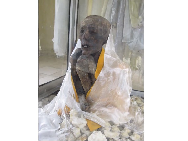  ജീവനുള്ള മമ്മി