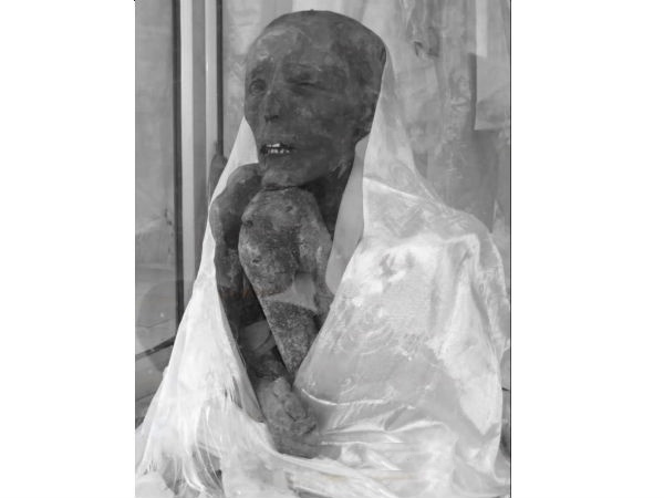 പഴക്കം 500 കൊല്ലത്തിലധികം