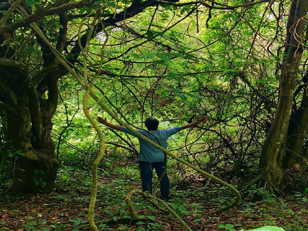 സർപ്പങ്ങൾ കാവൽ നിന്ന പൊന്‍നിധി