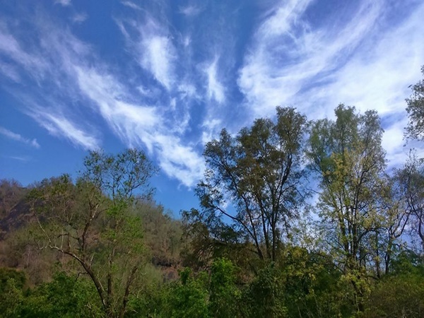 തട്ടേക്കാട് 