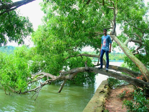 തുരുത്തിലിറങ്ങിയാൽ