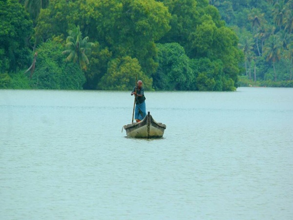 പൊന്നുംതുരുത്തിലെ കാഴ്ചകൾ കാണാൻ