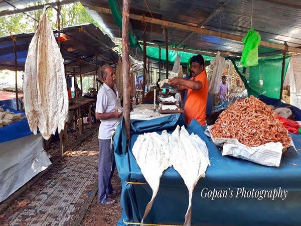 തെള്ളിയൂർ