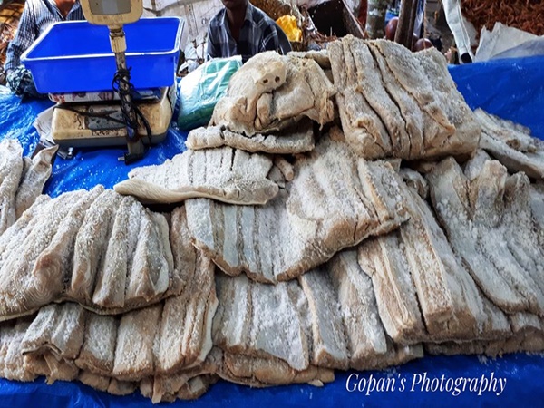 ക്ഷേത്രപരിസരത്തെ ഉണക്കസ്രാവ് വില്പന