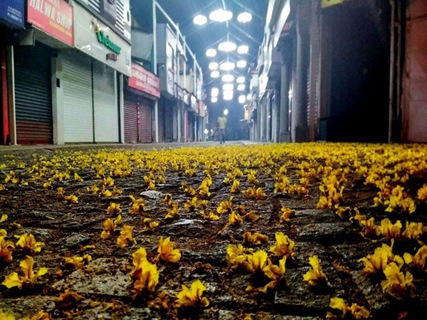 മിഠായിത്തെരുവ്