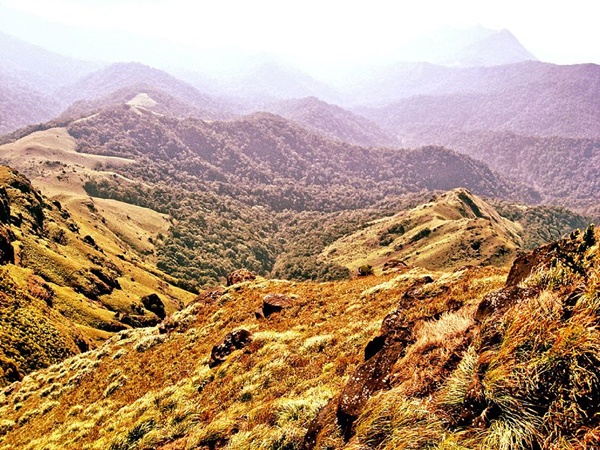 തടിയന്‍റമോൾ ഹൈക്കിങ്ങ് 