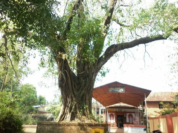 അക്ലിയത്ത് ശിവക്ഷേത്രം