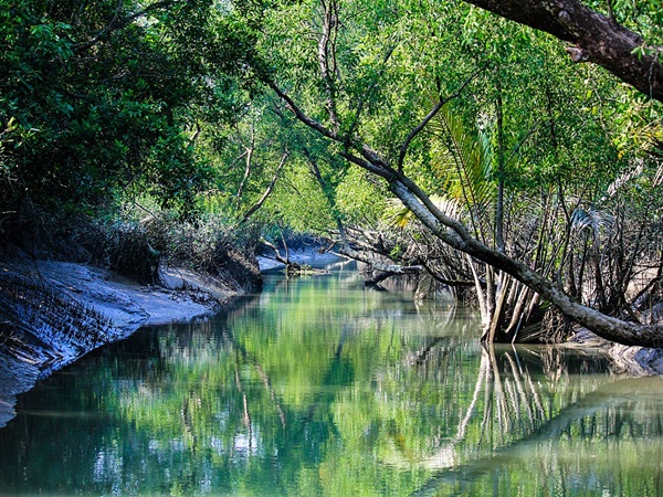  വെനീസിനേക്കാളും പത്തിരട്ടി വലുപ്പം